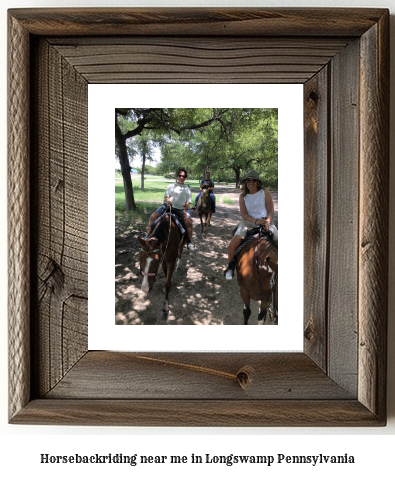 horseback riding near me in Longswamp, Pennsylvania